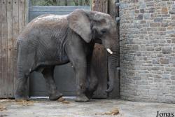 Zoo Wuppertal