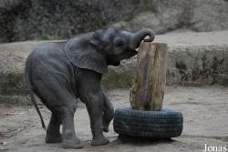 Zoo Wuppertal