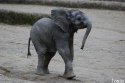 Zoo Wuppertal