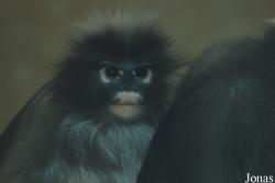 Zoo Wuppertal