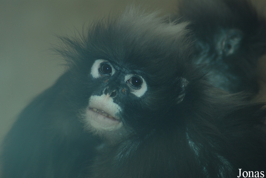 Zoo Wuppertal