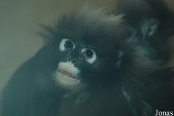 Zoo Wuppertal