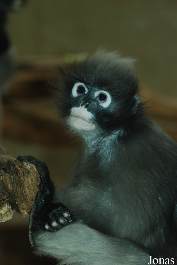 Zoo Wuppertal