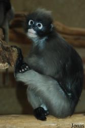 Zoo Wuppertal