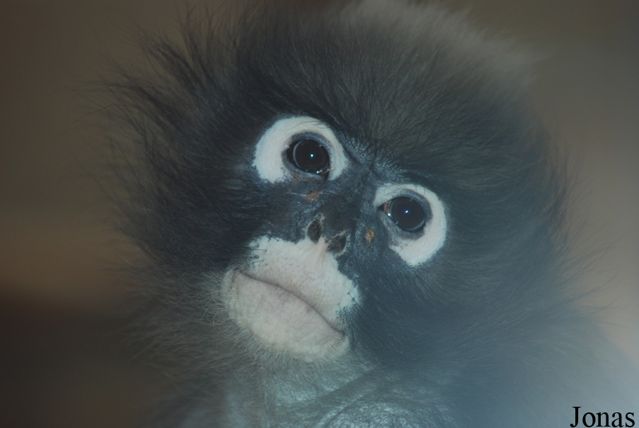 Zoo Wuppertal