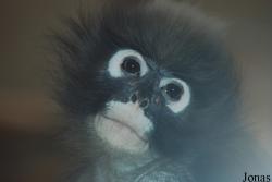 Zoo Wuppertal