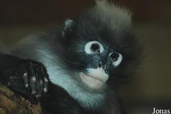 Zoo Wuppertal