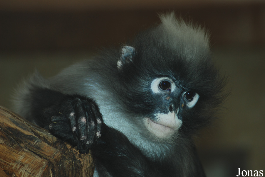 Zoo Wuppertal