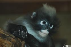 Zoo Wuppertal