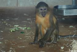 Zoo Wuppertal