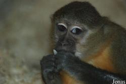 Zoo Wuppertal