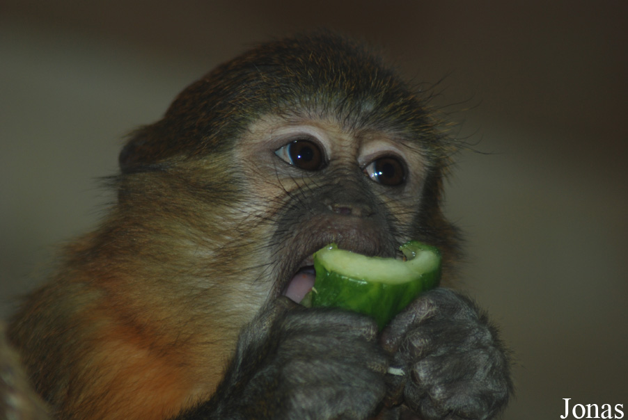 Zoo Wuppertal