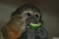 Zoo Wuppertal
