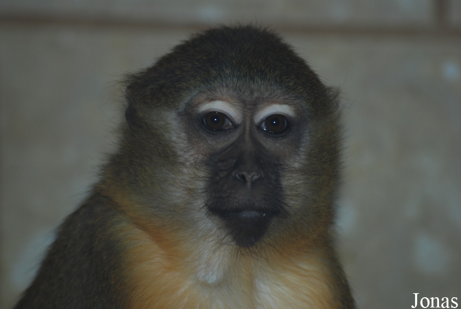 Zoo Wuppertal