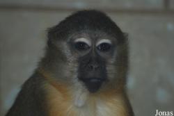 Zoo Wuppertal