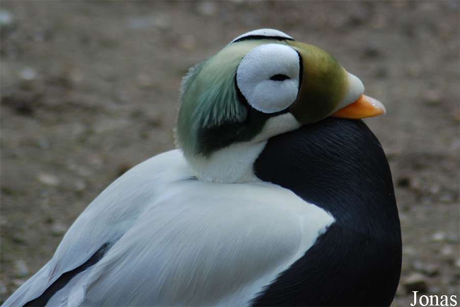 Zoo Wuppertal
