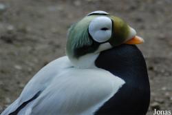 Zoo Wuppertal