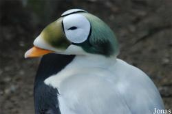 Zoo Wuppertal