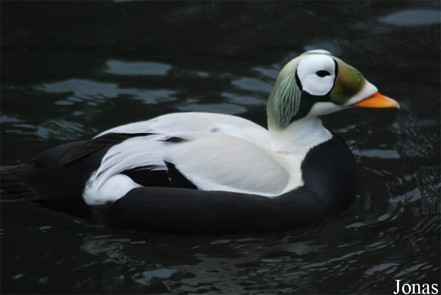 Zoo Wuppertal