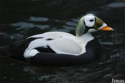 Zoo Wuppertal