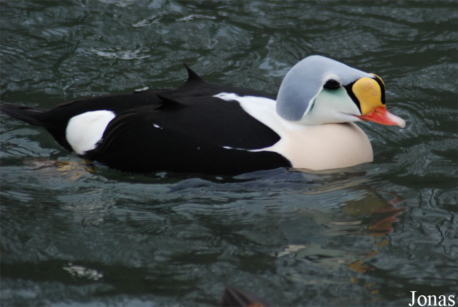 Zoo Wuppertal