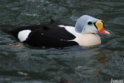 Zoo Wuppertal