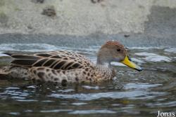 Zoo Wuppertal