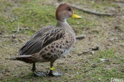 Zoo Wuppertal