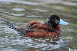 Zoo Wuppertal