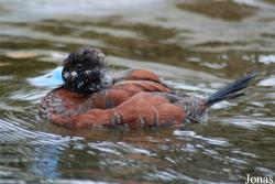 Zoo Wuppertal