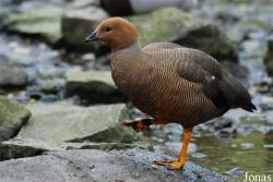 Zoo Wuppertal