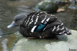 Zoo Wuppertal