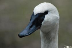 Zoo Wuppertal