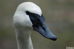 Zoo Wuppertal