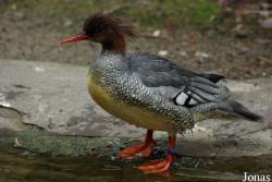 Zoo Wuppertal
