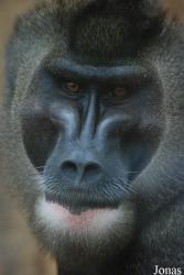 Zoo Wuppertal