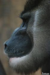 Zoo Wuppertal