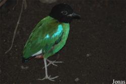 Zoo Wuppertal
