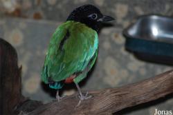 Zoo Wuppertal