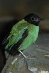 Zoo Wuppertal