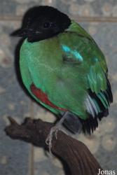 Zoo Wuppertal