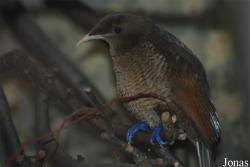 Zoo Wuppertal