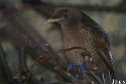 Zoo Wuppertal