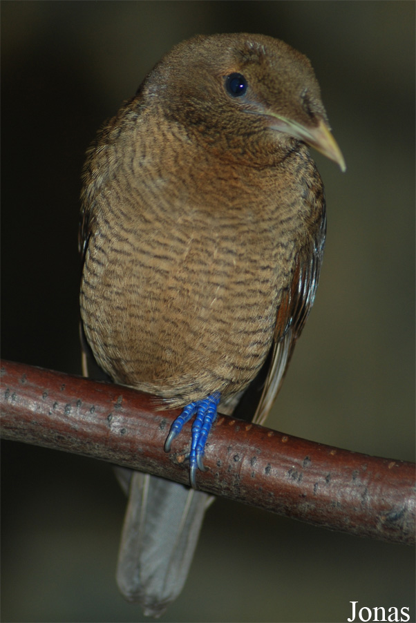 Zoo Wuppertal