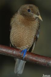 Zoo Wuppertal