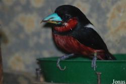 Zoo Wuppertal