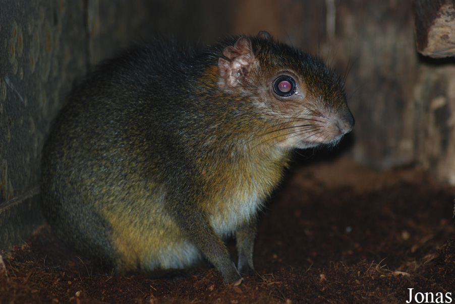 Zoo Wuppertal