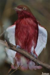 Zoo Wuppertal