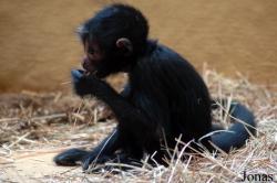 Zoo Landau in der Pfalz