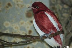 Zoo Wuppertal